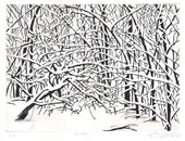 Holiday cards