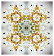 Peace Mandalas