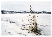 Holiday cards